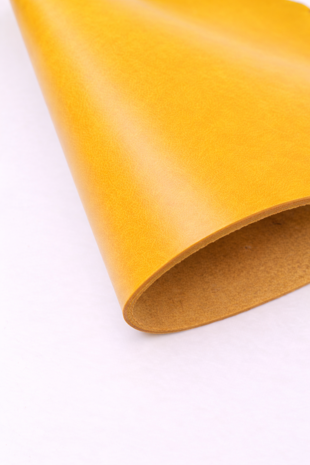 The Bare Anchor Bi-fold