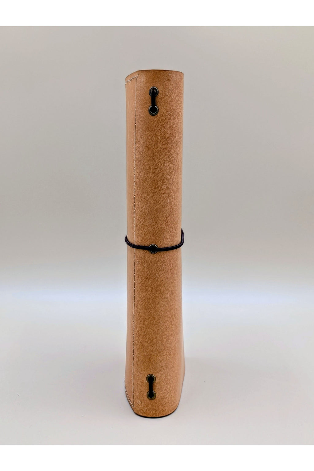 Traveller's (Traverller's Notebook) size leather journal cover Beach Sand / Tan colour spine view