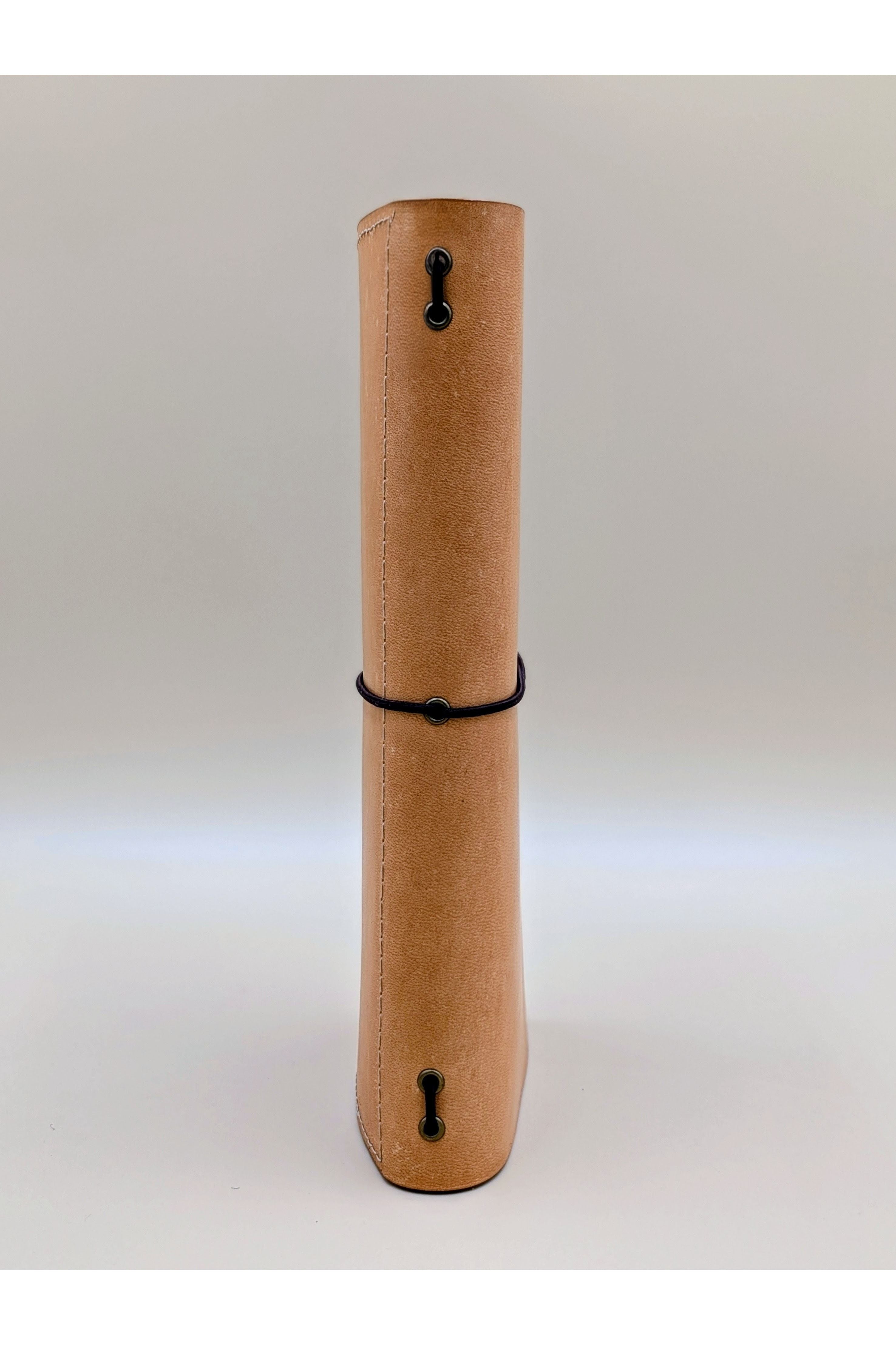 Traveller's (Traverller's Notebook) size leather journal cover Beach Sand / Tan colour spine view